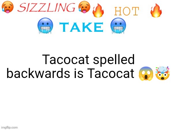 sizzling hot take | Tacocat spelled backwards is Tacocat 😱🤯 | image tagged in sizzling hot take | made w/ Imgflip meme maker