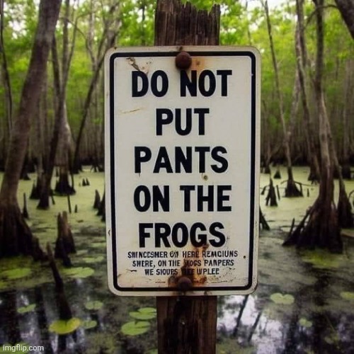 image tagged in frogs | made w/ Imgflip meme maker