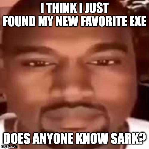 Kanye Stare | I THINK I JUST FOUND MY NEW FAVORITE EXE; DOES ANYONE KNOW SARK? | image tagged in kanye stare | made w/ Imgflip meme maker