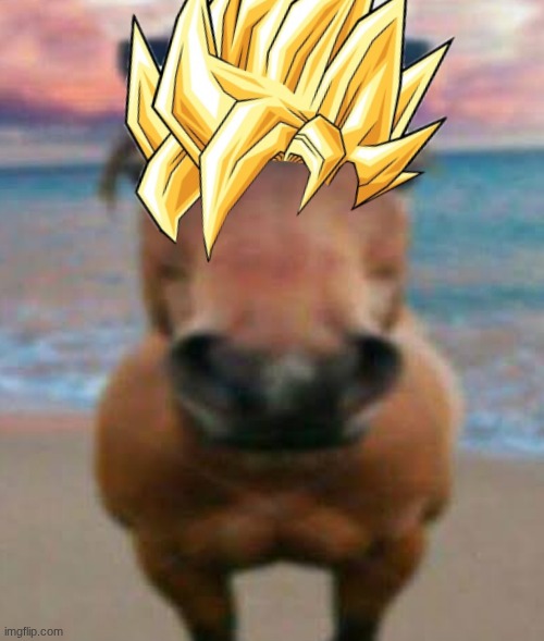 Evil Horse | image tagged in evil horse | made w/ Imgflip meme maker