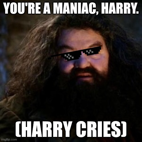 you're insane, harry | YOU'RE A MANIAC, HARRY. (HARRY CRIES) | image tagged in you're a wizard harry,harry potter,hagrid,weird stuff,crying,harry potter meme | made w/ Imgflip meme maker
