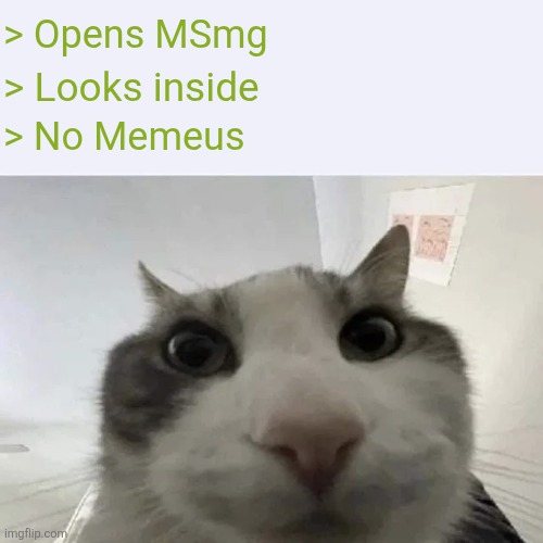 No Memeus? | > Opens MSmg; > Looks inside; > No Memeus | image tagged in green text cat | made w/ Imgflip meme maker