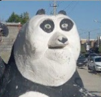 Design Fail Po Blank Meme Template