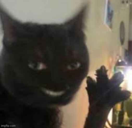 Uncanny Phase 87 of M-Trainball (origin) | image tagged in black cat | made w/ Imgflip meme maker