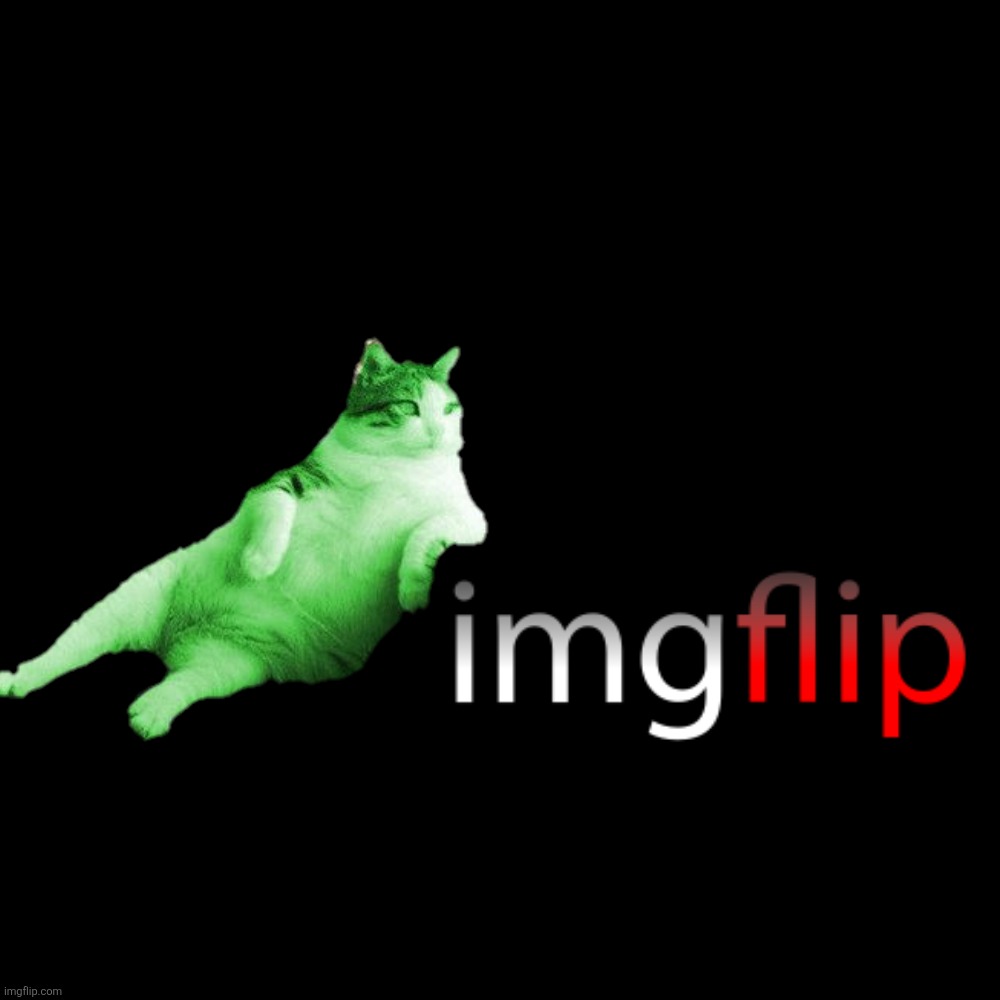 Blank Transparent Square Meme | image tagged in memes,blank transparent square | made w/ Imgflip meme maker