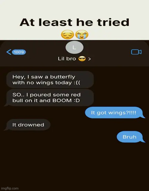 red bull gives you wings (unless you're a butterfly) | made w/ Imgflip meme maker