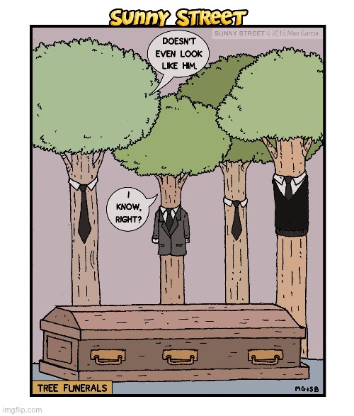 image tagged in comics,sunny street,funeral,trees,casket | made w/ Imgflip meme maker