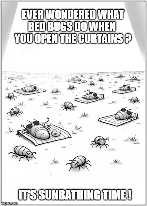 A Weird Russian Cartoon | EVER WONDERED WHAT
BED BUGS DO WHEN 
YOU OPEN THE CURTAINS ? IT'S SUNBATHING TIME ! | image tagged in bed bugs,curtains,sunbathing,russian,cartoon,dark humour | made w/ Imgflip meme maker