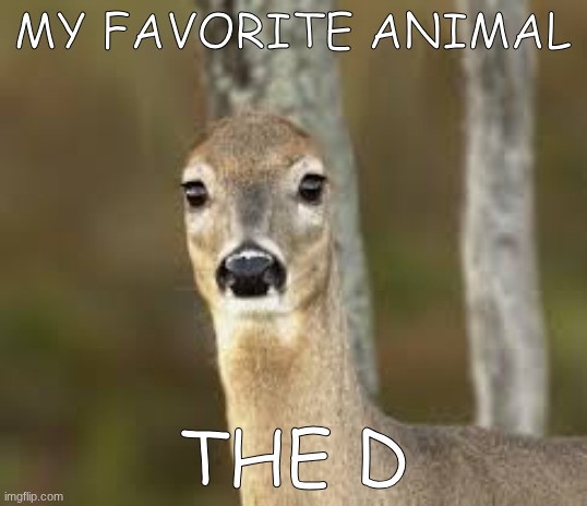 what's the name of that one font, the freaky one??? | MY FAVORITE ANIMAL; THE D | made w/ Imgflip meme maker