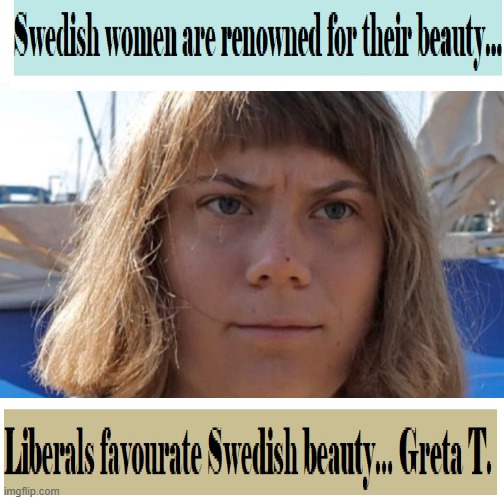 politics | image tagged in political meme | made w/ Imgflip meme maker