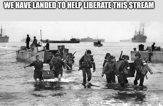 us soldiers | WE HAVE LANDED TO HELP LIBERATE THIS STREAM | image tagged in us soldiers | made w/ Imgflip meme maker