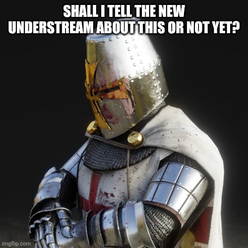 Paladin | SHALL I TELL THE NEW UNDERSTREAM ABOUT THIS OR NOT YET? | image tagged in paladin | made w/ Imgflip meme maker
