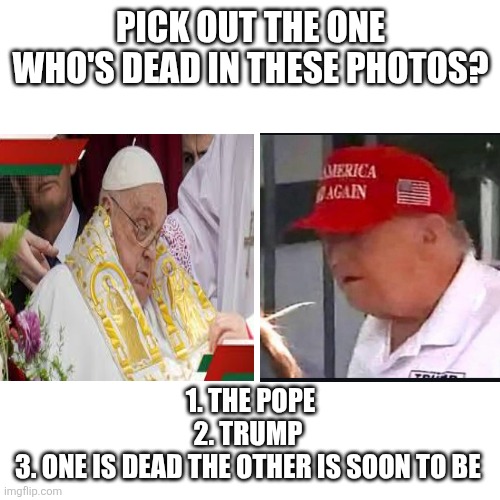 Blank Transparent Square Meme | PICK OUT THE ONE WHO'S DEAD IN THESE PHOTOS? 1. THE POPE
2. TRUMP 
3. ONE IS DEAD THE OTHER IS SOON TO BE | image tagged in memes,blank transparent square | made w/ Imgflip meme maker