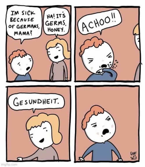 Goat to Self | image tagged in comics,goat to self,sneezing,gesundheit,germs,germans | made w/ Imgflip meme maker