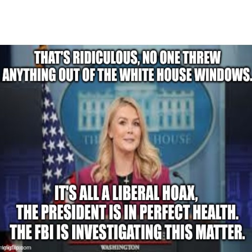 What was that thrown out the White House window? | image tagged in karoline leavitt,trump,didn't happen,fbi will investigate | made w/ Imgflip meme maker