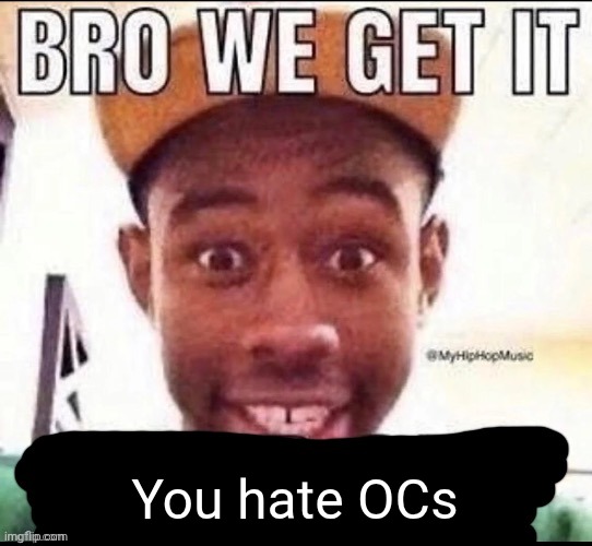 Bro we get it (blank) | You hate OCs | image tagged in bro we get it blank | made w/ Imgflip meme maker
