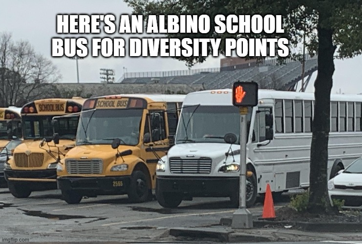 school bus DEI | HERE'S AN ALBINO SCHOOL BUS FOR DIVERSITY POINTS | image tagged in politically incorrect,funny | made w/ Imgflip meme maker