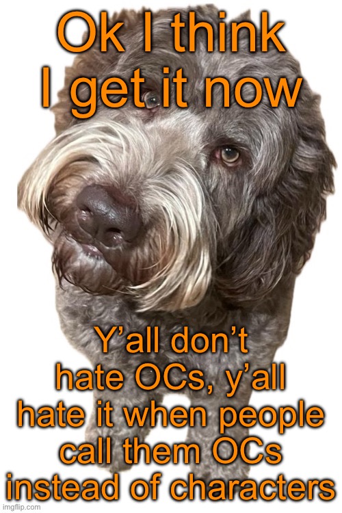 Norther's dog | Ok I think I get it now; Y’all don’t hate OCs, y’all hate it when people call them OCs instead of characters | image tagged in norther's dog | made w/ Imgflip meme maker