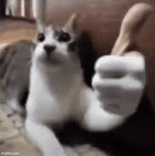 Thumbup | image tagged in thumbup | made w/ Imgflip meme maker