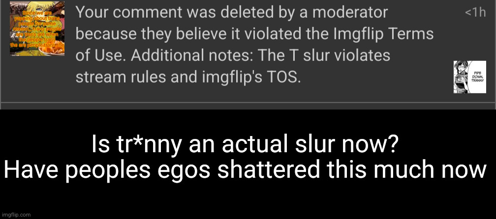 ts IS a slur fr fr | Is tr*nny an actual slur now? Have peoples egos shattered this much now | image tagged in stupid people | made w/ Imgflip meme maker