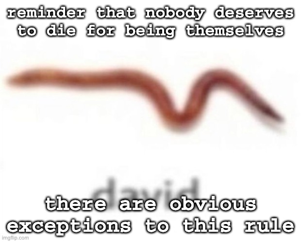 zoophiles, pedophiles and necrophiles are part of the exception | reminder that nobody deserves to die for being themselves; there are obvious exceptions to this rule | image tagged in david | made w/ Imgflip meme maker