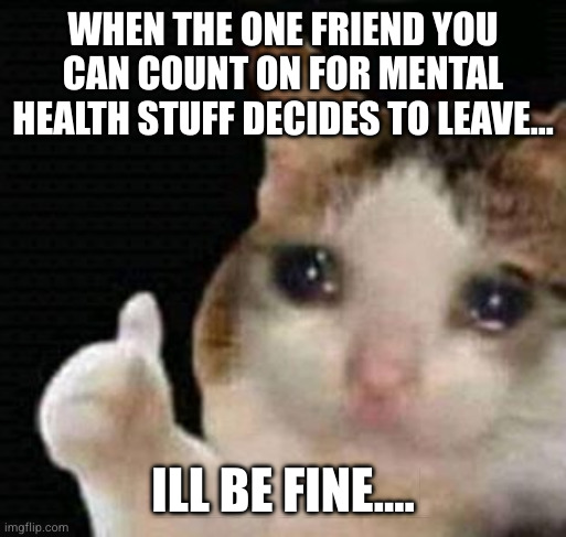 life is fun | WHEN THE ONE FRIEND YOU CAN COUNT ON FOR MENTAL HEALTH STUFF DECIDES TO LEAVE... ILL BE FINE.... | image tagged in sad thumbs up cat,life,fun,tags,real | made w/ Imgflip meme maker