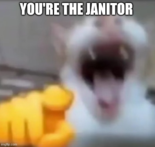 Cat pointing and laughing | YOU'RE THE JANITOR | image tagged in cat pointing and laughing | made w/ Imgflip meme maker