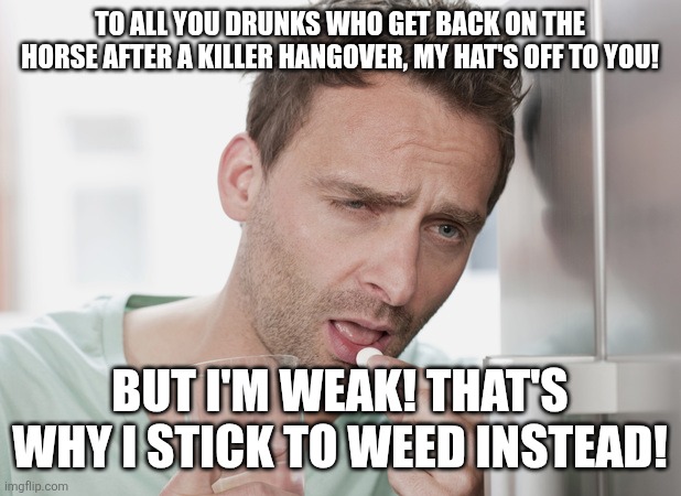 Hungover | TO ALL YOU DRUNKS WHO GET BACK ON THE HORSE AFTER A KILLER HANGOVER, MY HAT'S OFF TO YOU! BUT I'M WEAK! THAT'S WHY I STICK TO WEED INSTEAD! | image tagged in hungover | made w/ Imgflip meme maker