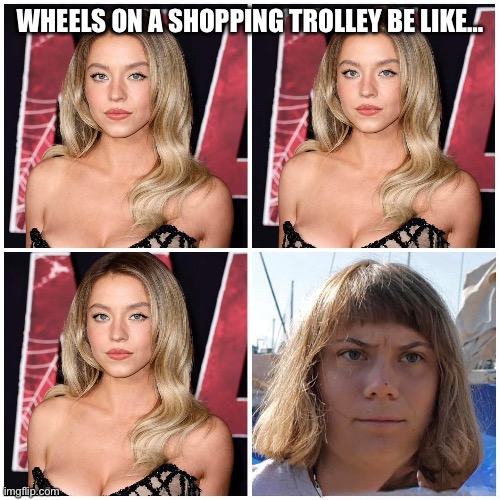 Shopping Trolly Thunberg | WHEELS ON A SHOPPING TROLLEY BE LIKE… | image tagged in greta thunberg | made w/ Imgflip meme maker