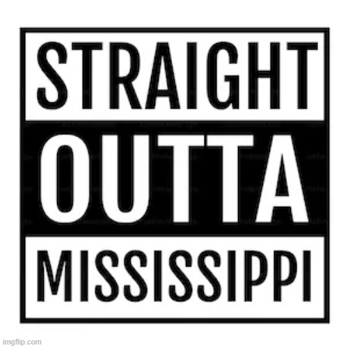 yes sir born and raised (part of my life tho) | image tagged in born and raised,meme,hood | made w/ Imgflip meme maker