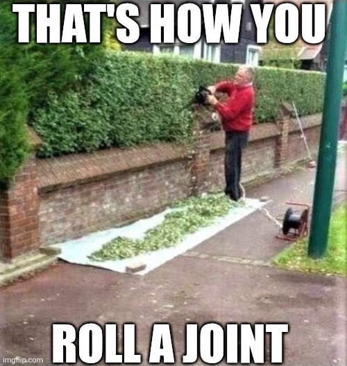 That's How You Roll A Joint | THAT'S HOW YOU; ROLL A JOINT | image tagged in chrisjoines1 | made w/ Imgflip meme maker