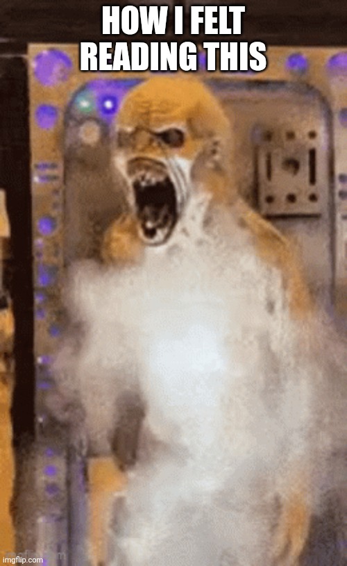 HOW I FELT READING THIS | made w/ Imgflip meme maker