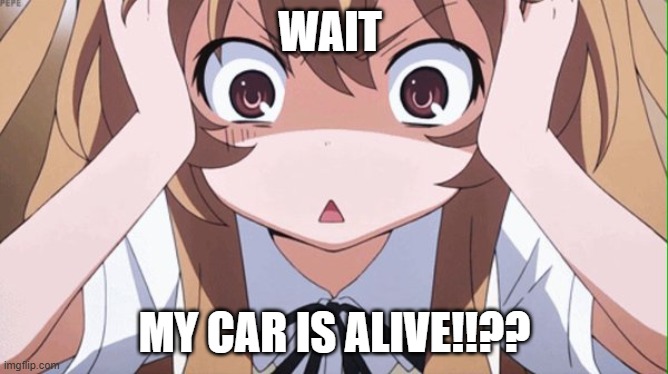 herbie the love bug's owners be like | WAIT; MY CAR IS ALIVE!!?? | image tagged in anime realization | made w/ Imgflip meme maker