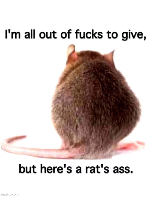 What everyone is thinking | image tagged in mouse | made w/ Imgflip meme maker