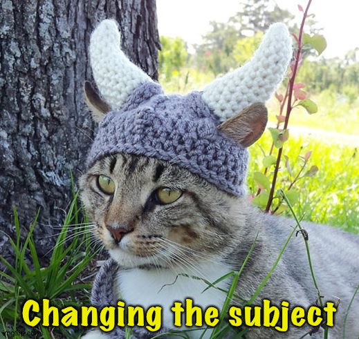 Viking cat crochete hat | Changing the subject | image tagged in viking cat crochete hat | made w/ Imgflip meme maker