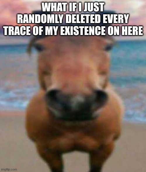 Evil Horse | WHAT IF I JUST RANDOMLY DELETED EVERY TRACE OF MY EXISTENCE ON HERE | image tagged in evil horse | made w/ Imgflip meme maker