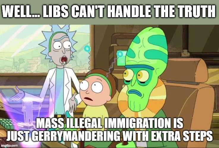 WELL... LIBS CAN'T HANDLE THE TRUTH | made w/ Imgflip meme maker