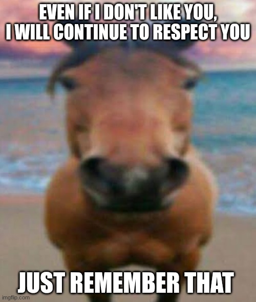 Evil Horse | EVEN IF I DON'T LIKE YOU, I WILL CONTINUE TO RESPECT YOU; JUST REMEMBER THAT | image tagged in evil horse | made w/ Imgflip meme maker