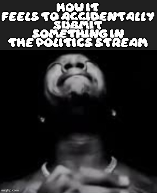 How it feels to accidentally submit something in the politics stream | made w/ Imgflip meme maker