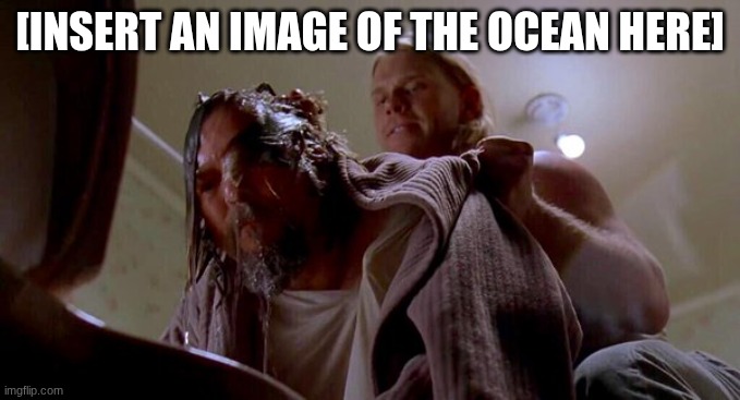 Where's the Money Lebowski | [INSERT AN IMAGE OF THE OCEAN HERE] | image tagged in where's the money lebowski | made w/ Imgflip meme maker