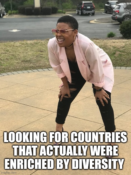 Black woman squinting | LOOKING FOR COUNTRIES THAT ACTUALLY WERE ENRICHED BY DIVERSITY | image tagged in black woman squinting,funny memes | made w/ Imgflip meme maker