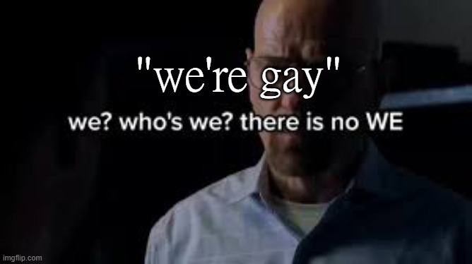 we? who's we? there is no WE. | "we're gay" | image tagged in we who's we there is no we | made w/ Imgflip meme maker