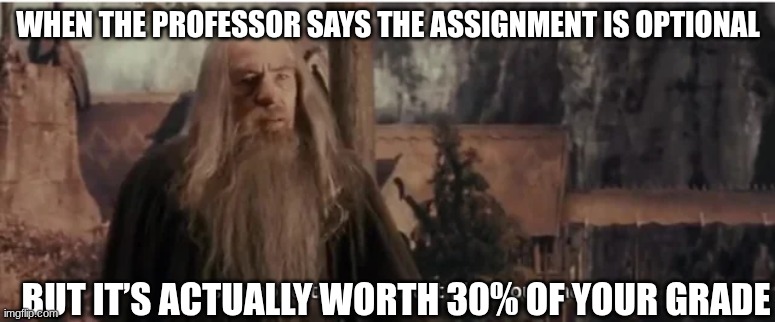 gandolf | WHEN THE PROFESSOR SAYS THE ASSIGNMENT IS OPTIONAL; BUT IT’S ACTUALLY WORTH 30% OF YOUR GRADE | image tagged in gandolf | made w/ Imgflip meme maker