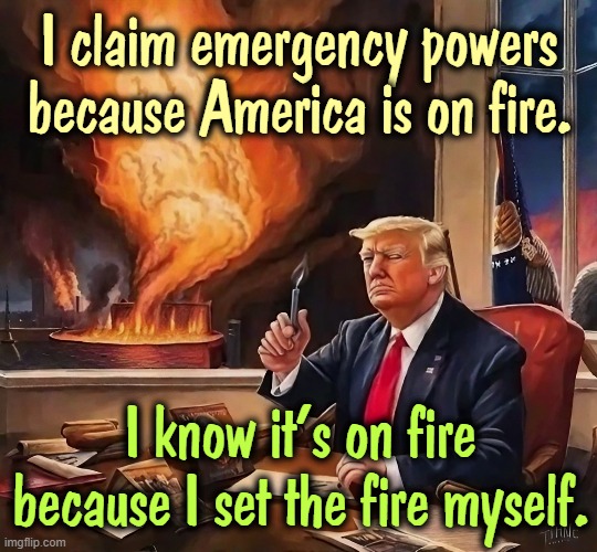 Donnie Trump, Boy Arsonist | I claim emergency powers because America is on fire. I know it's on fire because I set the fire myself. | image tagged in trump,america,fire,arson,power,emergency | made w/ Imgflip meme maker