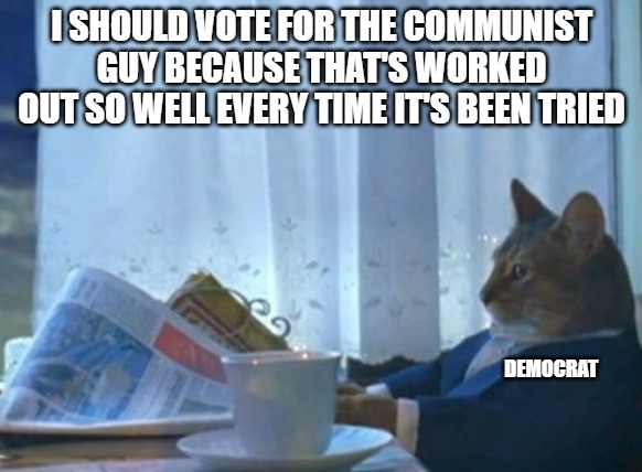 Why are some people so dumb? | I SHOULD VOTE FOR THE COMMUNIST GUY BECAUSE THAT'S WORKED OUT SO WELL EVERY TIME IT'S BEEN TRIED; DEMOCRAT | image tagged in memes,i should buy a boat cat,communism,democrats | made w/ Imgflip meme maker