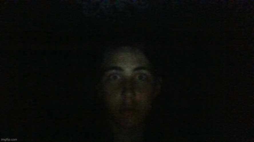 the horror | image tagged in the horror | made w/ Imgflip meme maker