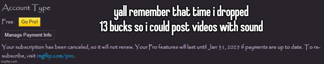 yall remember that time i dropped 13 bucks so i could post videos with sound | made w/ Imgflip meme maker