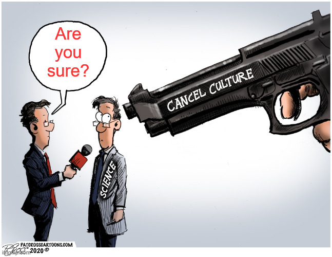 Cancel Culture Gun | Are you sure? | image tagged in cancel culture gun | made w/ Imgflip meme maker