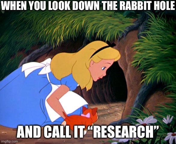 “Research” | WHEN YOU LOOK DOWN THE RABBIT HOLE AND CALL IT “RESEARCH” | image tagged in alice looking down the rabbit hole,research | made w/ Imgflip meme maker