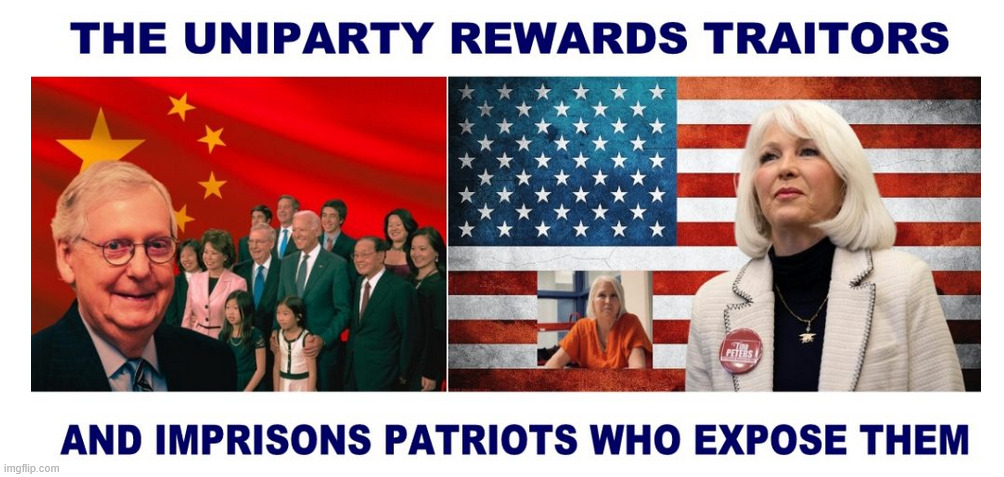 The assault on the people’s voice does not stop with Tina Peters. | image tagged in political,reposts,uniparty,going after whistleblowers | made w/ Imgflip meme maker